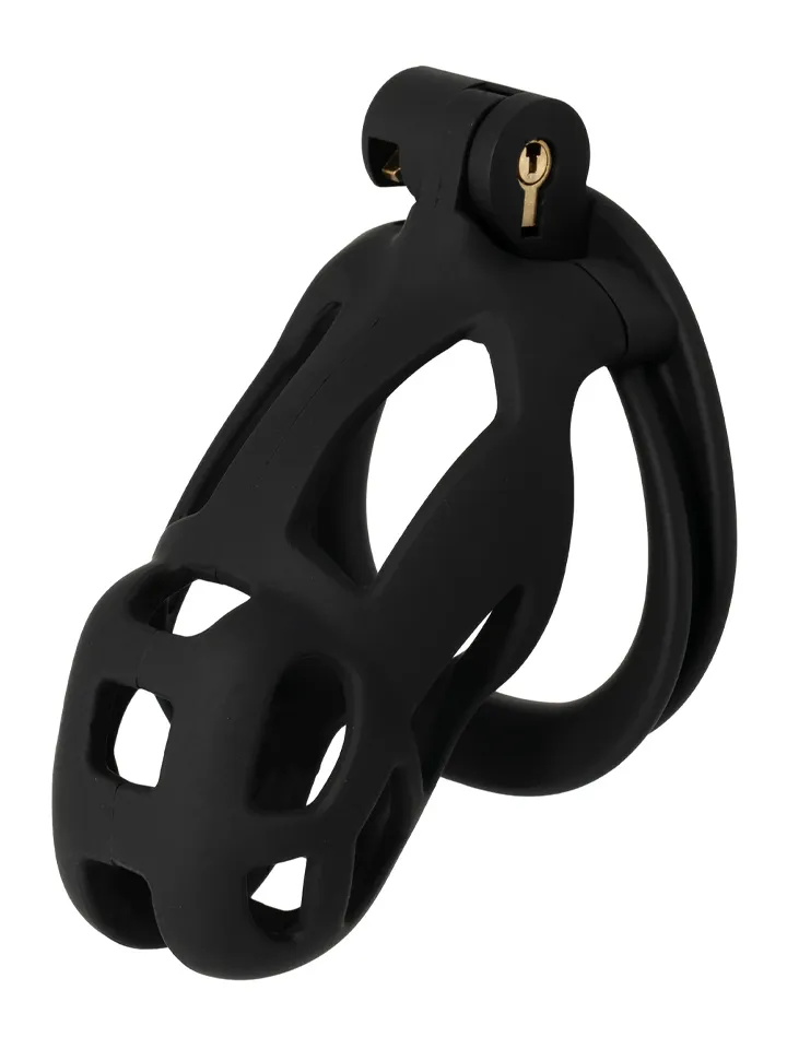 Penis Prison Cock Cage Regular - Kyskhetsbur 0