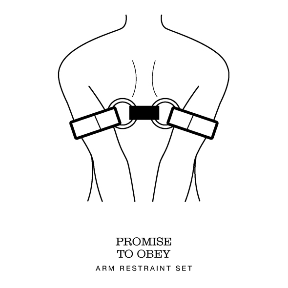 FIFTY SHADES OF GREY - ARM RESTRAINTS-3