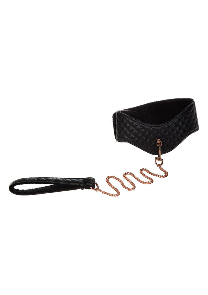 POSTURE COLLAR WITH LEASH-3