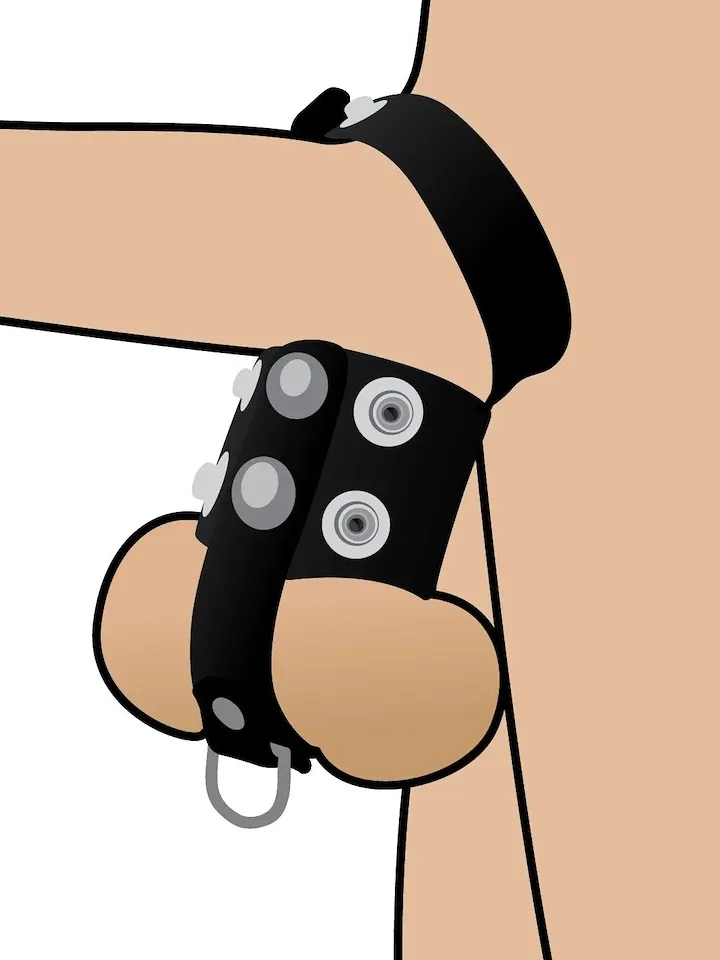 Wild Play Cock & Ball Strap - Penis & pungring 0