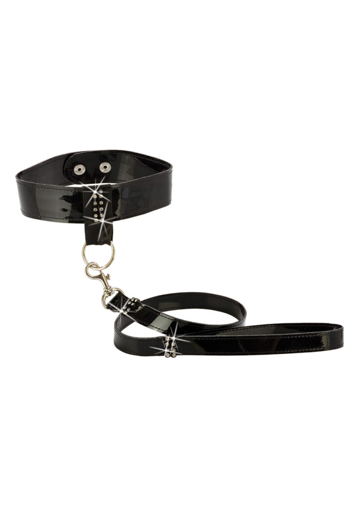 Diamond Leash and Collar Set-3